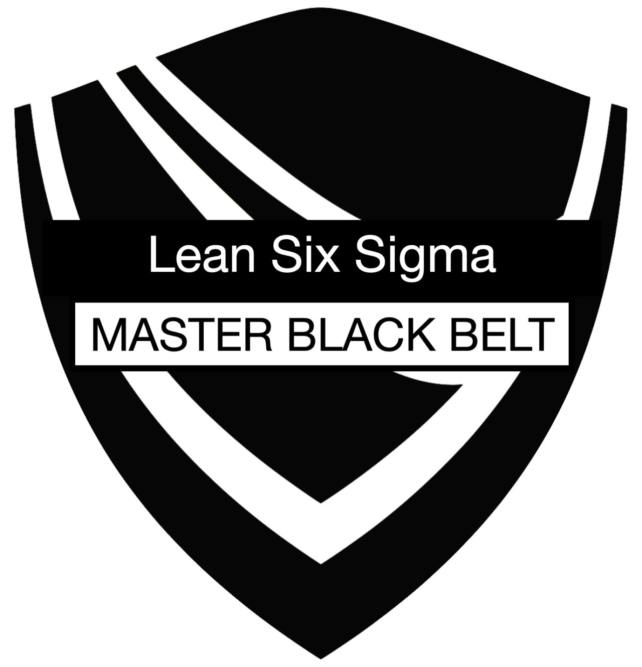 levels of lean six sigma belts
