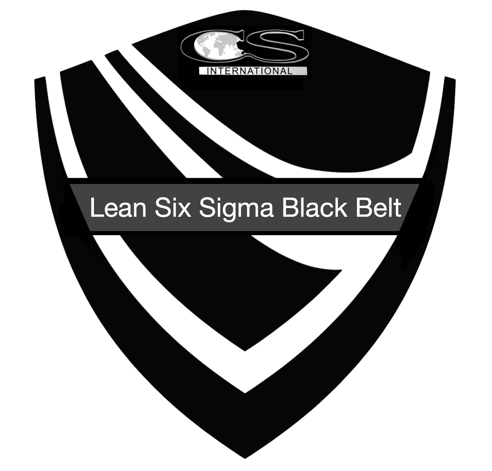 LSSBB Logo Final 1