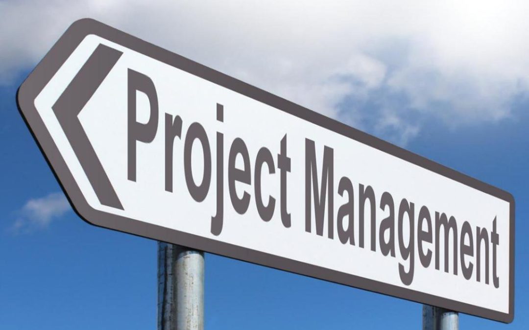 Steps for Building a Relationship with Your Project Management Team